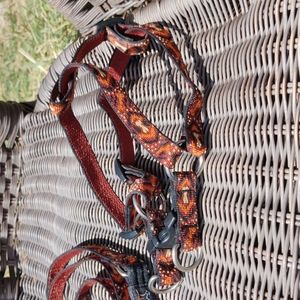 Lupine Pet Harness and Leash